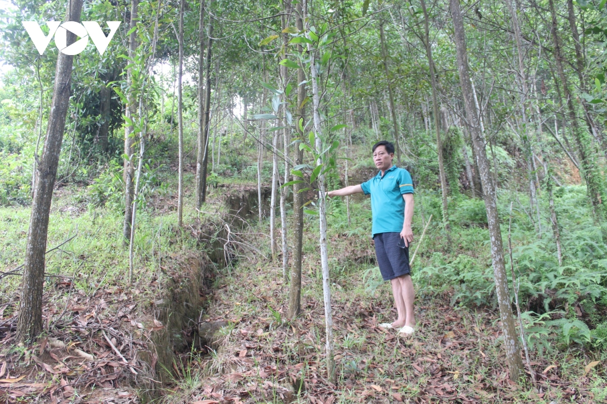 thieu von, du an ke chong sat lo doi nui khan cap tien thoai luong nan hinh anh 2
