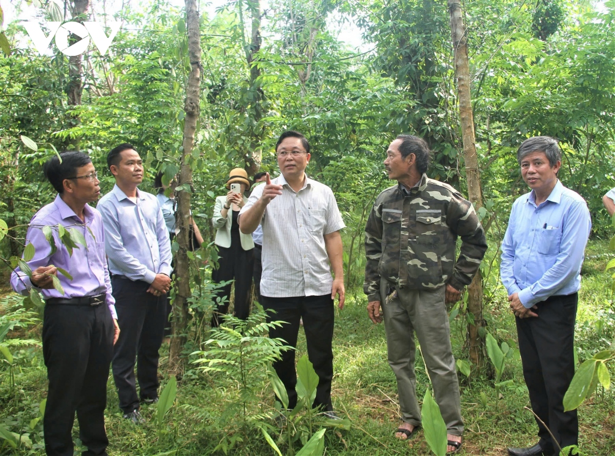 mặt trận quảng nam đổi mới tư duy và cách thức giám sát hình ảnh 1 mat tran quang nam doi moi tu duy va cach thuc giam sat hinh anh 1