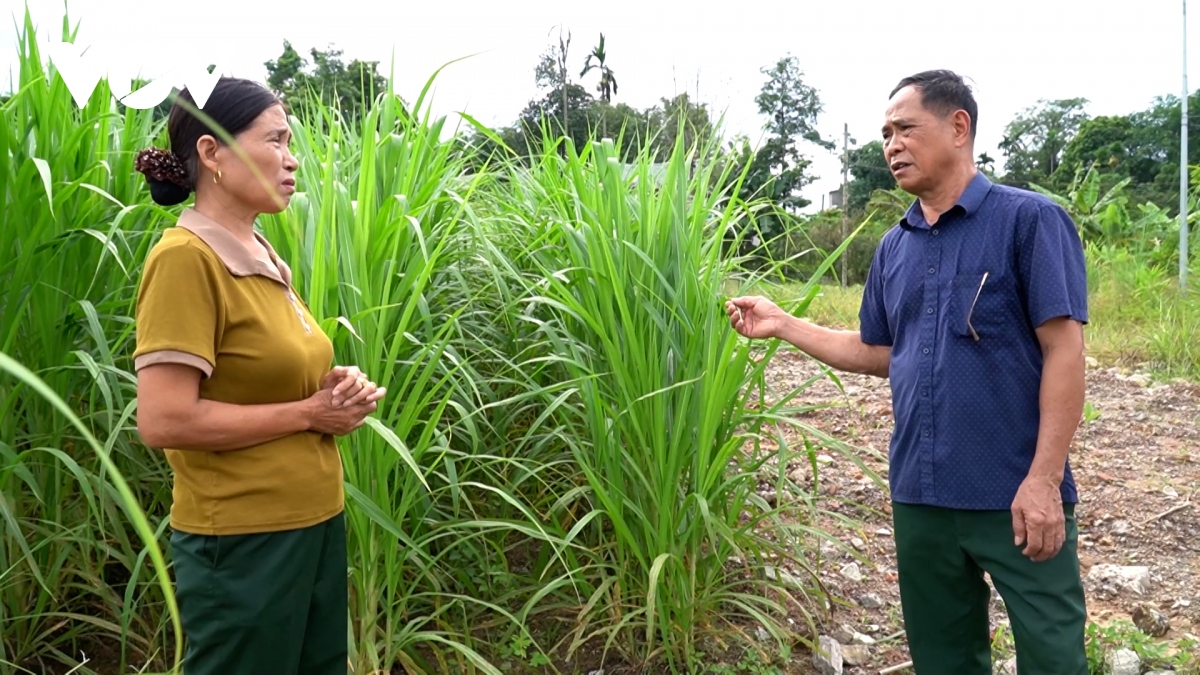 Người trưởng thôn “Đảng tín – Dân tin”