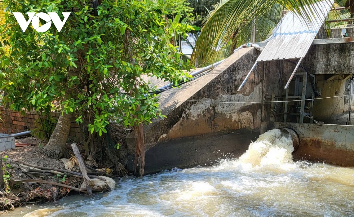 hau giang trien khai nhieu bien phap chu dong ung pho lu noi dong hinh anh 2