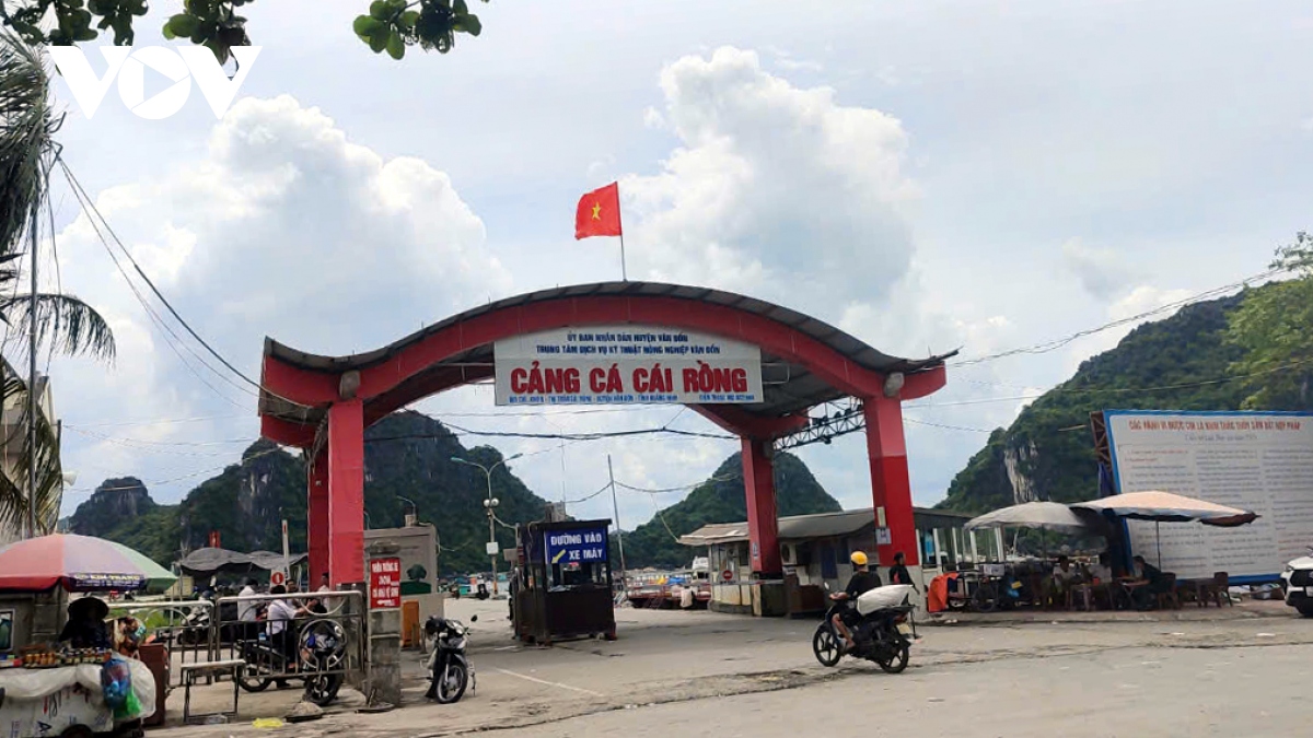 quang ninh cung ca nuoc go the vang iuu hinh anh 2