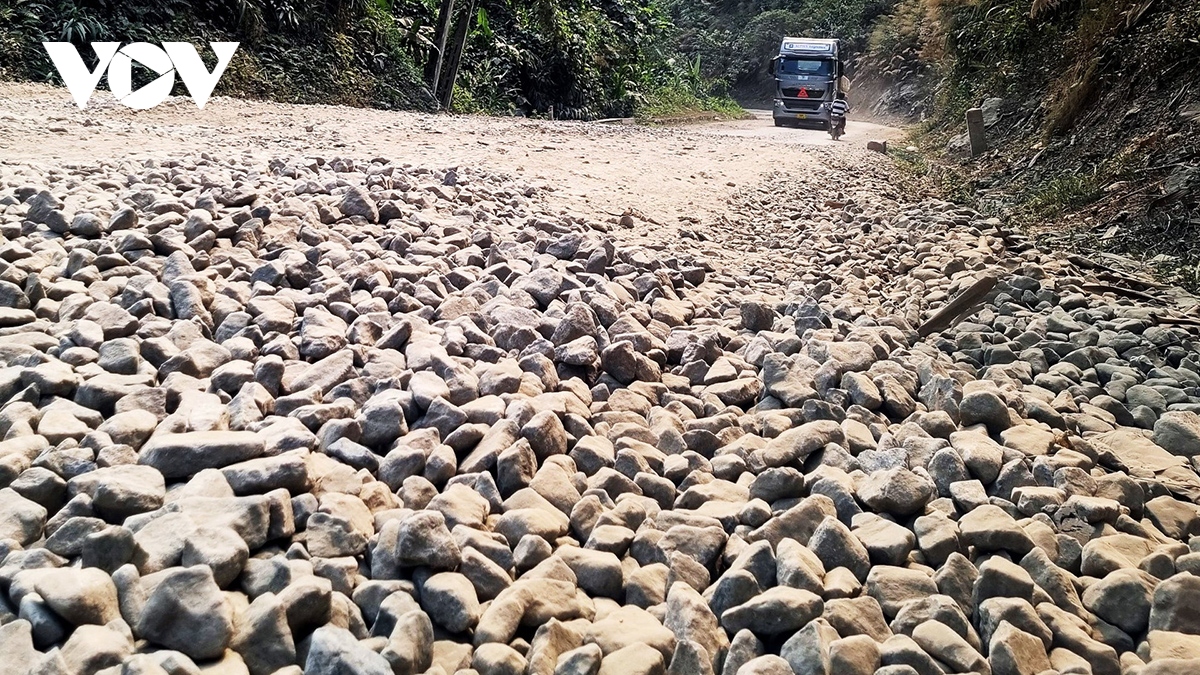 De xuat dau tu hon 4.600 ty dong cai tao, nang cap quoc lo 14d tai tinh quang nam hinh anh 3