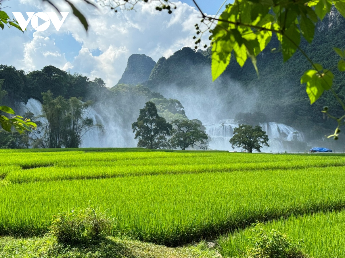 thac ban gioc dong khach tro lai trong ngay nang dep hinh anh 1