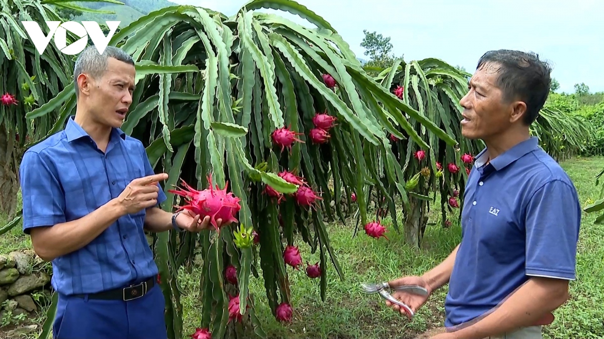 yen bai xay dung nong thon moi tu the manh cua dia phuong hinh anh 2