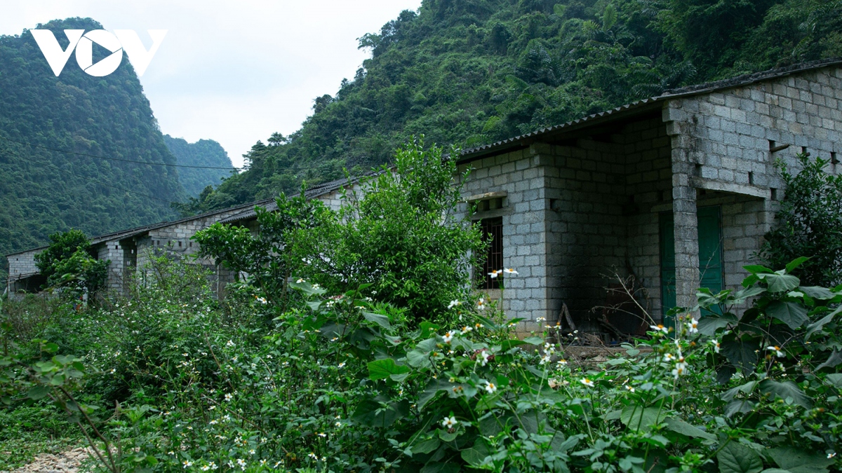 tao sinh ke de giai bai toan on dinh cu dan hinh anh 4