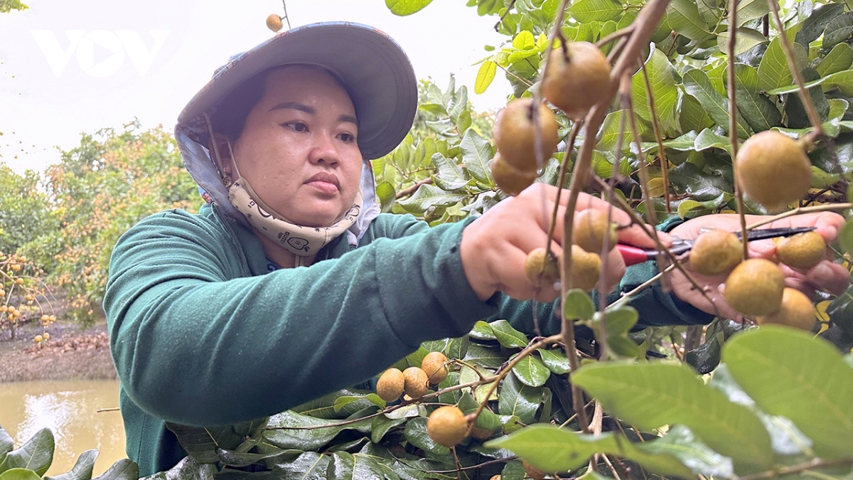 Trái cây của Việt Nam đã có mặt tại 60 thị trường trên thế giới