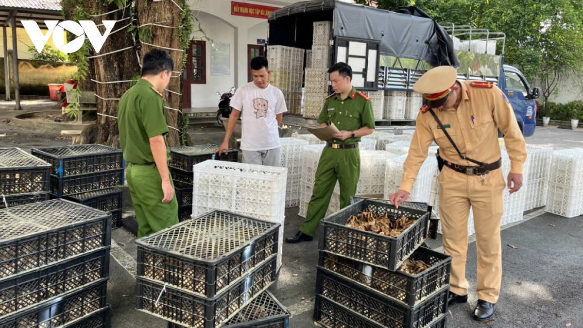 quang ninh bat giu hang ngan con ga, vit khong ro nguon goc hinh anh 1