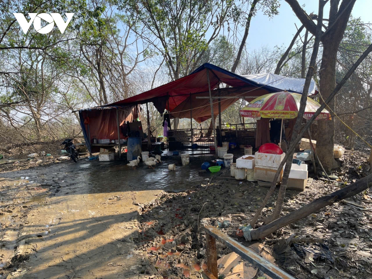 cuoc song khon kho cua nguoi dan bai giua song hong ha noi sau lu lut hinh anh 11