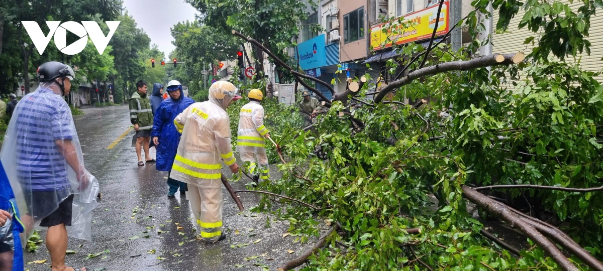 Cảnh sát giao thông Hà Nội chủ động phân luồng, dọn cây đổ giúp người dân đi lại