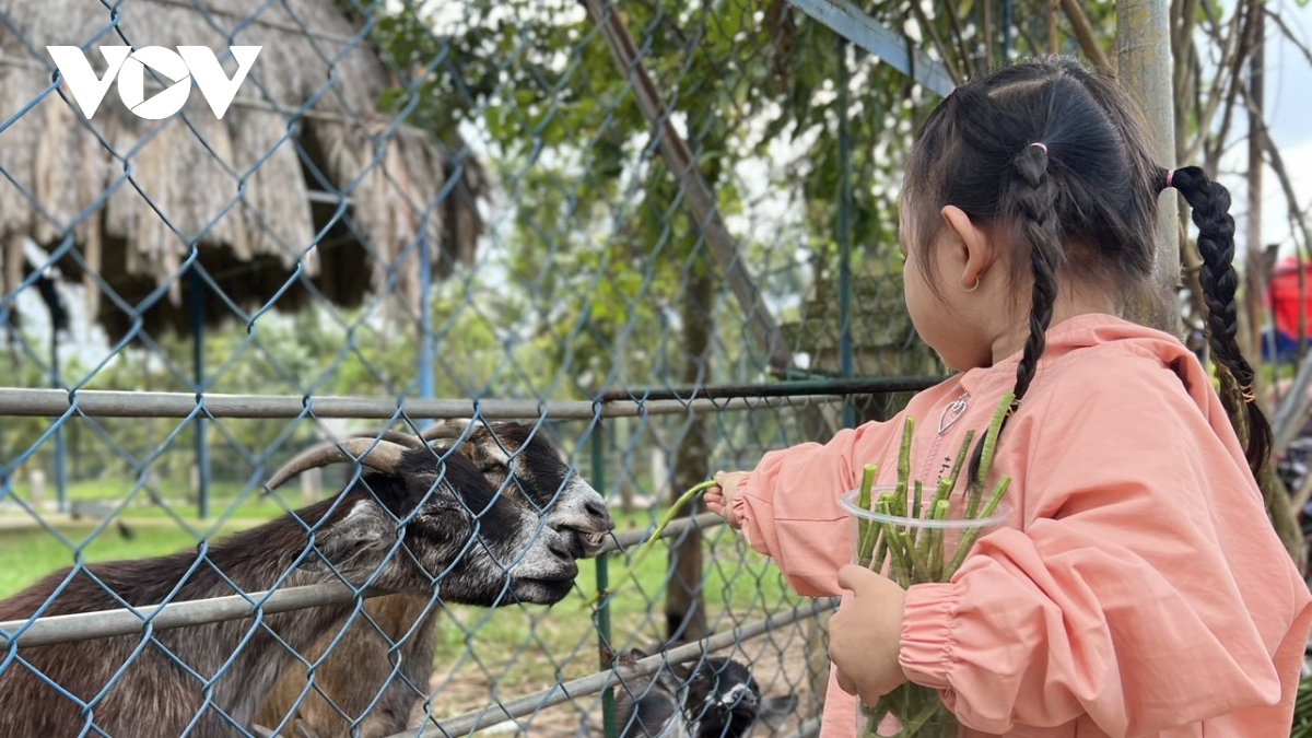 noi khong voi tinh trang cheo keo, du khach nuoc ngoai ve long an tang hon 40 hinh anh 1