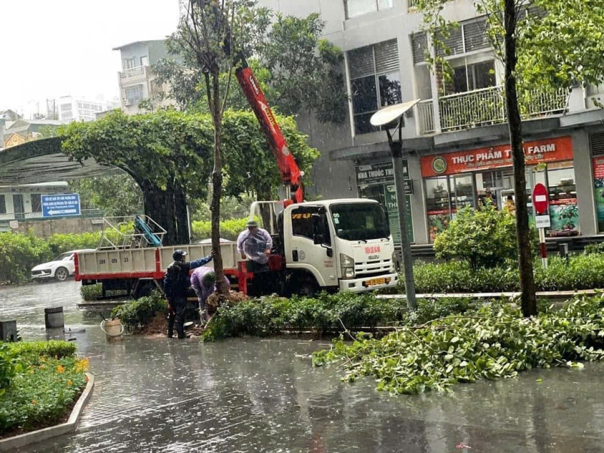 truc tiep bao so 3 dang tren dat lien quang ninh, hai phong, giat cap 16 hinh anh 85