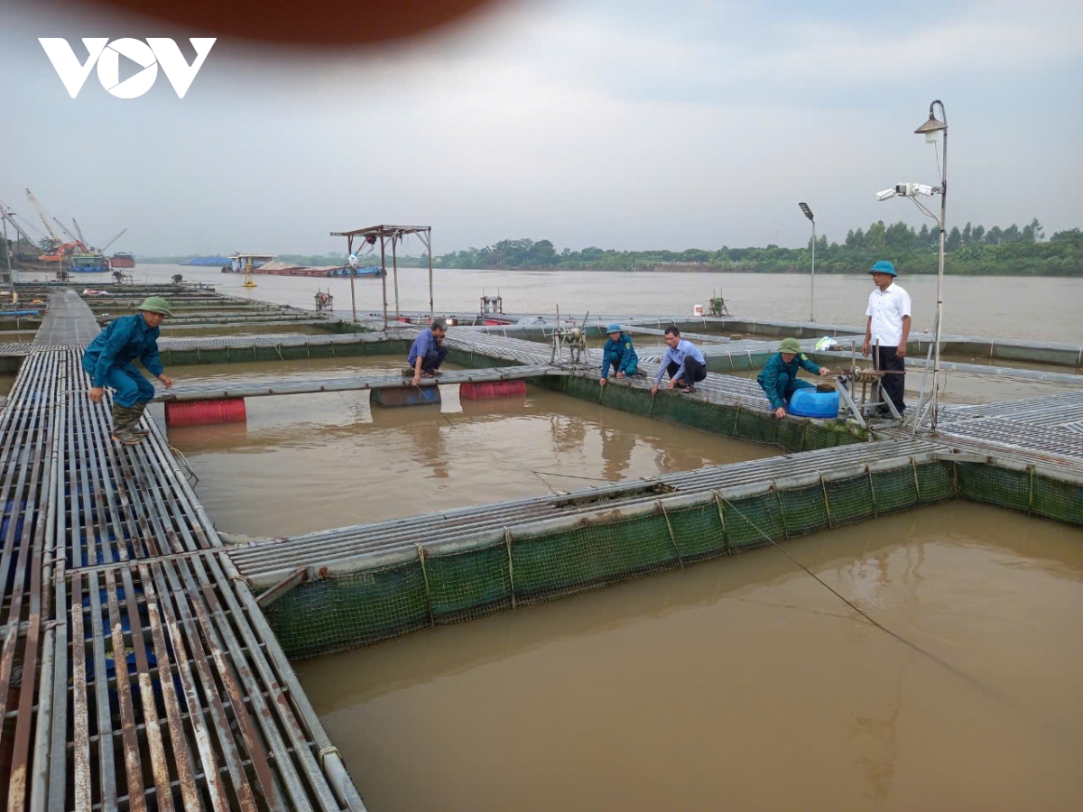 sieu bao yagi giam cap, co xu huong hoi nhich len tren hinh anh 60