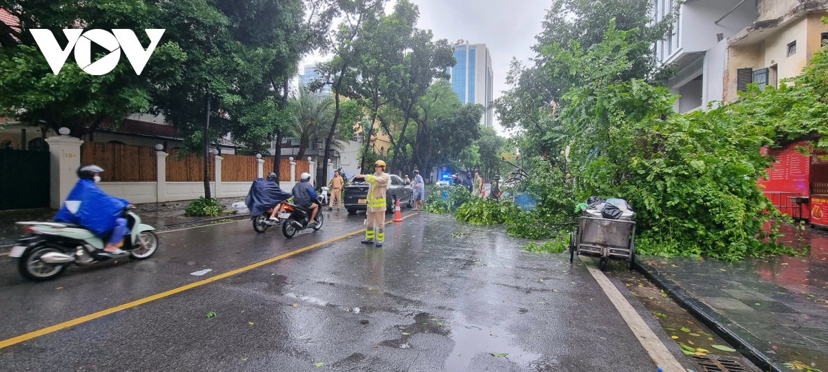 canh sat giao thong ha noi chu dong phan luong, don cay do giup nguoi dan di lai hinh anh 3