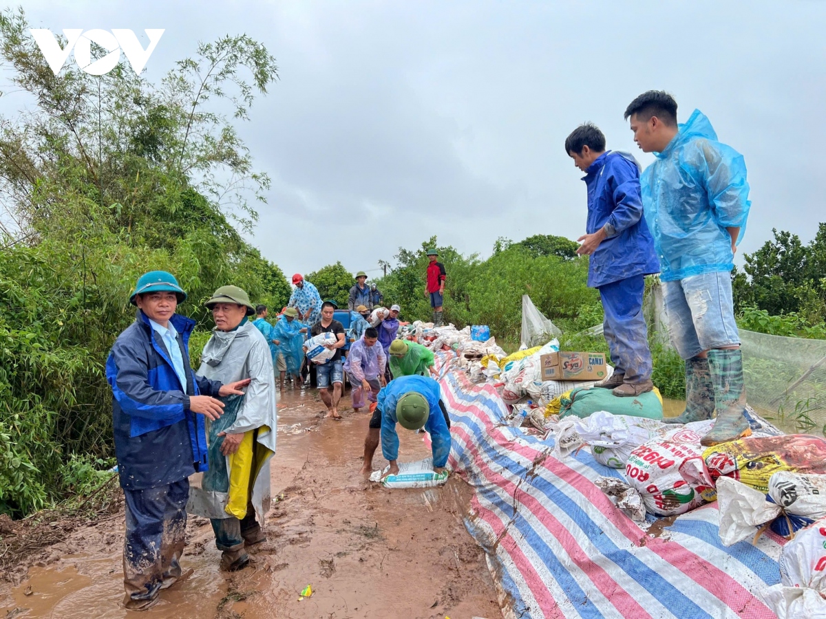 nam Dinh huy dong luc luong khan cap ho de, so tan dan khoi vung lu hinh anh 4