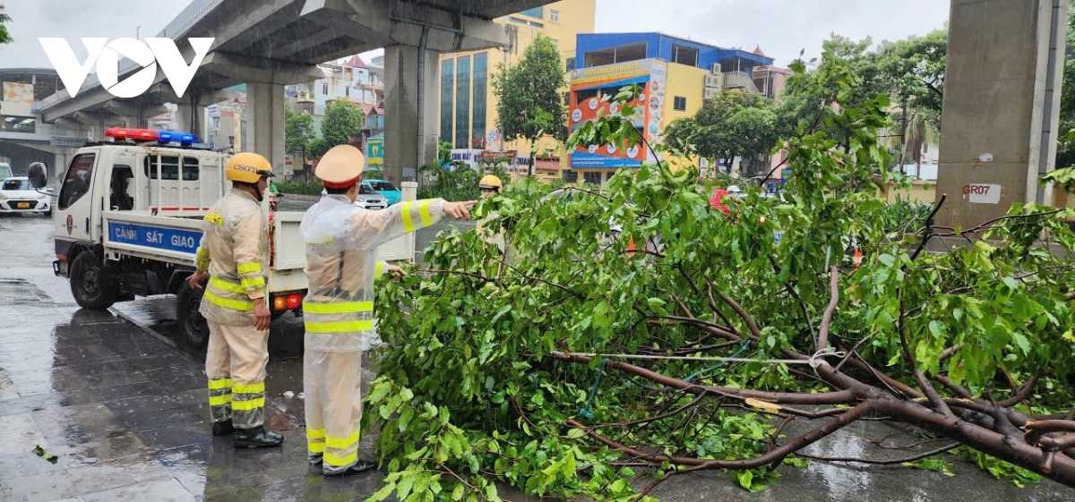 canh sat giao thong ha noi chu dong phan luong, don cay do giup nguoi dan di lai hinh anh 4