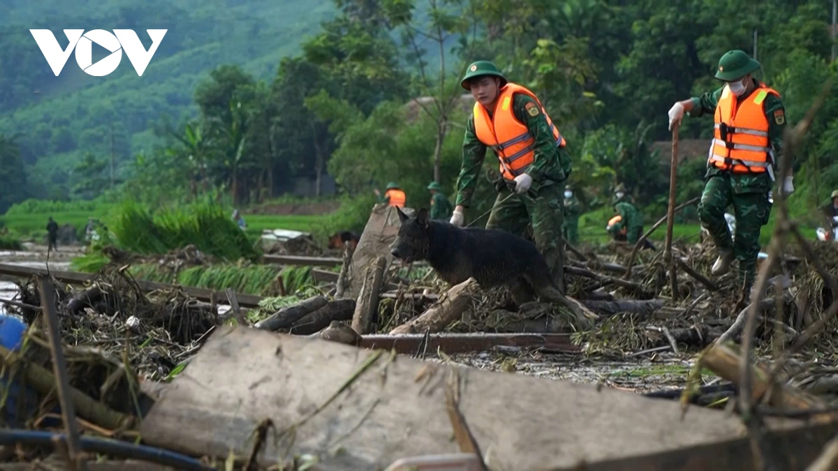 luc luong vu trang dam minh trong bun dat tim kiem nan nhan o lang nu hinh anh 4