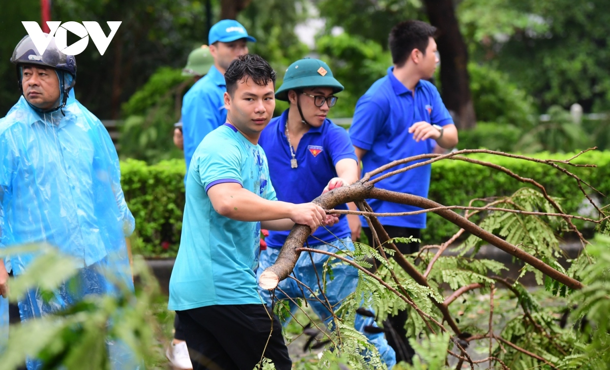 bao so 3 khien cay phuong bat goc chan ngang duong len cau chuong duong hinh anh 5