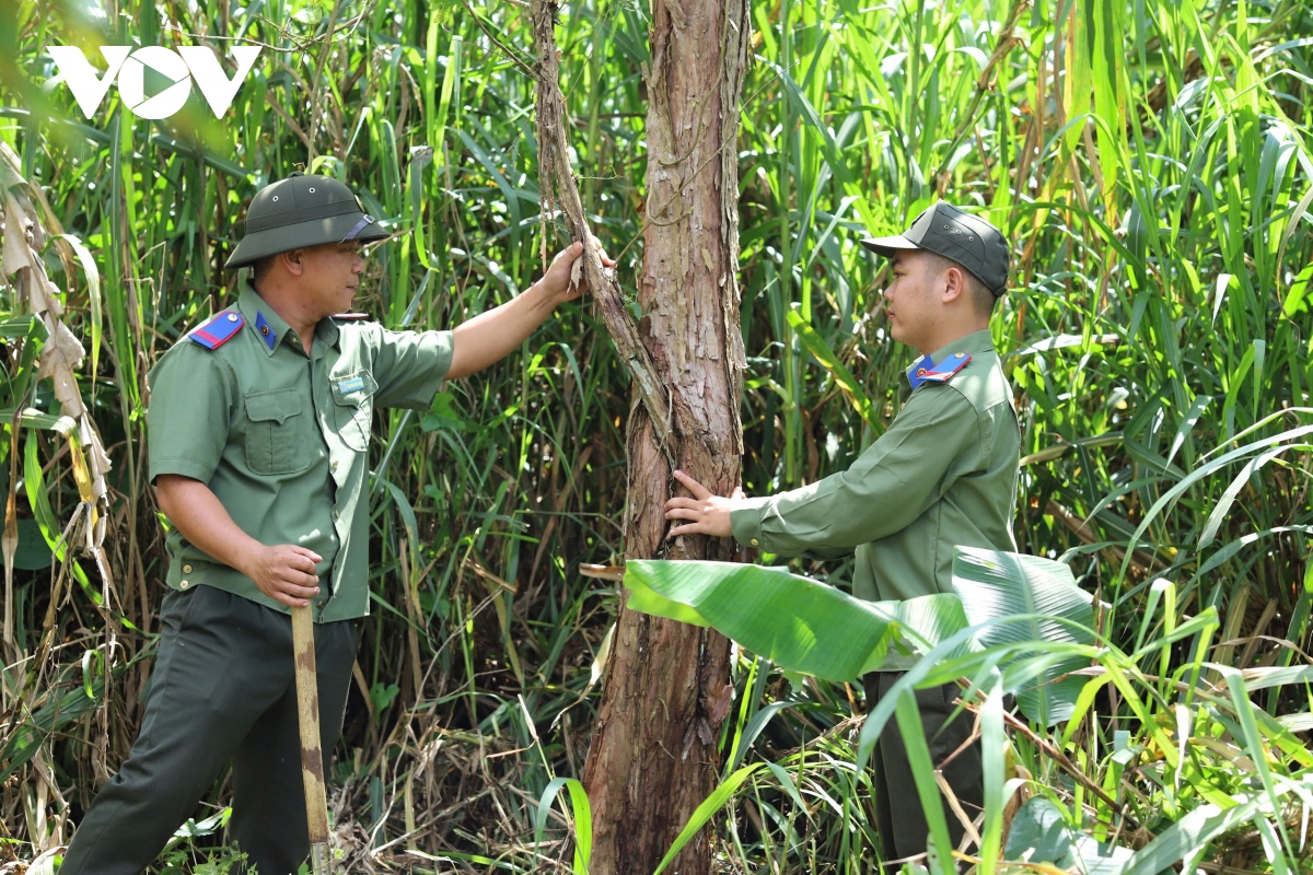 nhieu thach thuc trong bao ton 2 quan the thuy tung cuoi cung o viet nam hinh anh 6