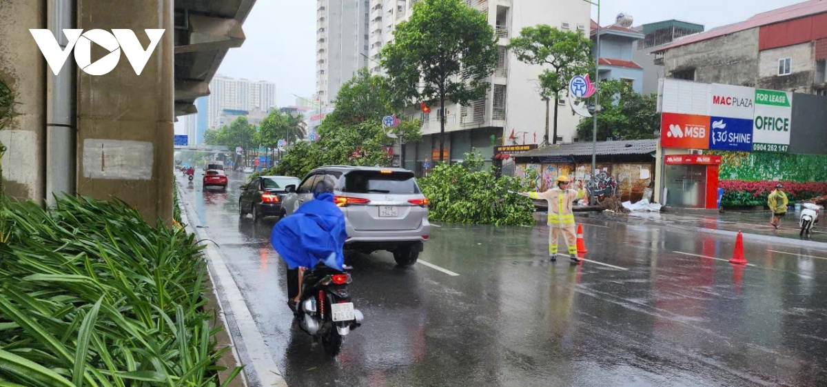 canh sat giao thong ha noi chu dong phan luong, don cay do giup nguoi dan di lai hinh anh 5