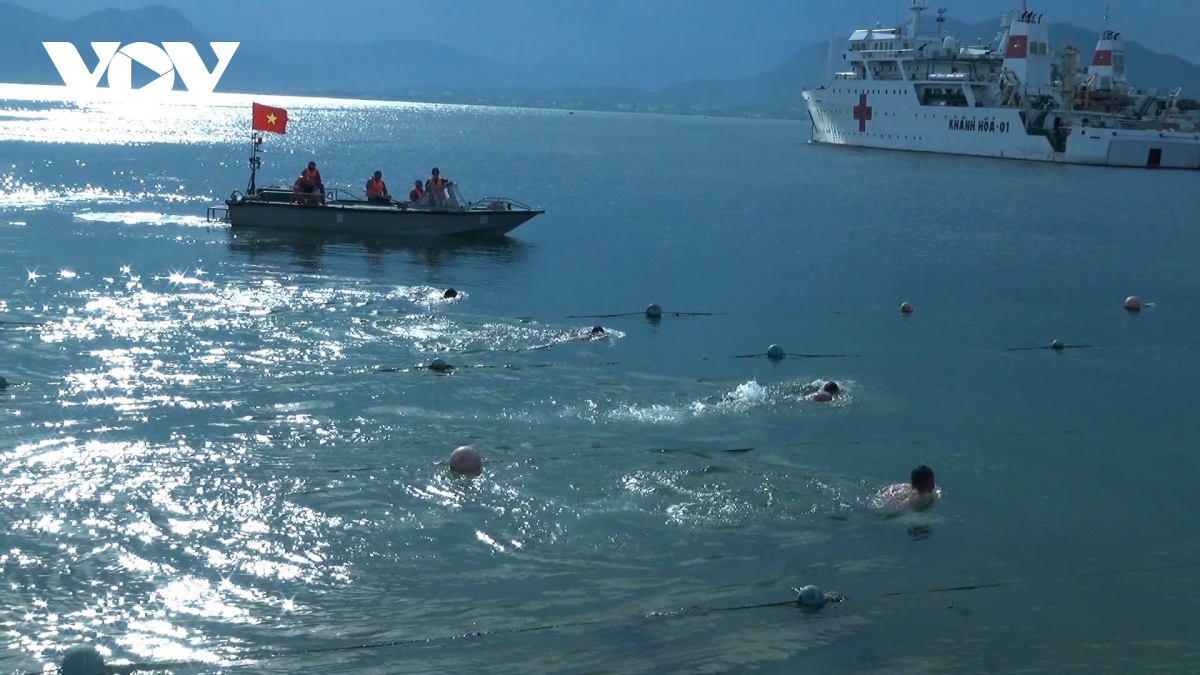 nhung bong hoa bien cong hien vi bien dao to quoc hinh anh 7