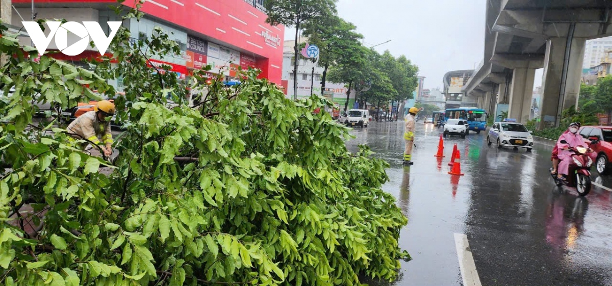 canh sat giao thong ha noi chu dong phan luong, don cay do giup nguoi dan di lai hinh anh 6