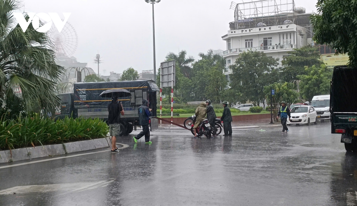 quang ninh Dam 6 tau o co to, csgt cuu nguoi bi cay de o ha long hinh anh 3