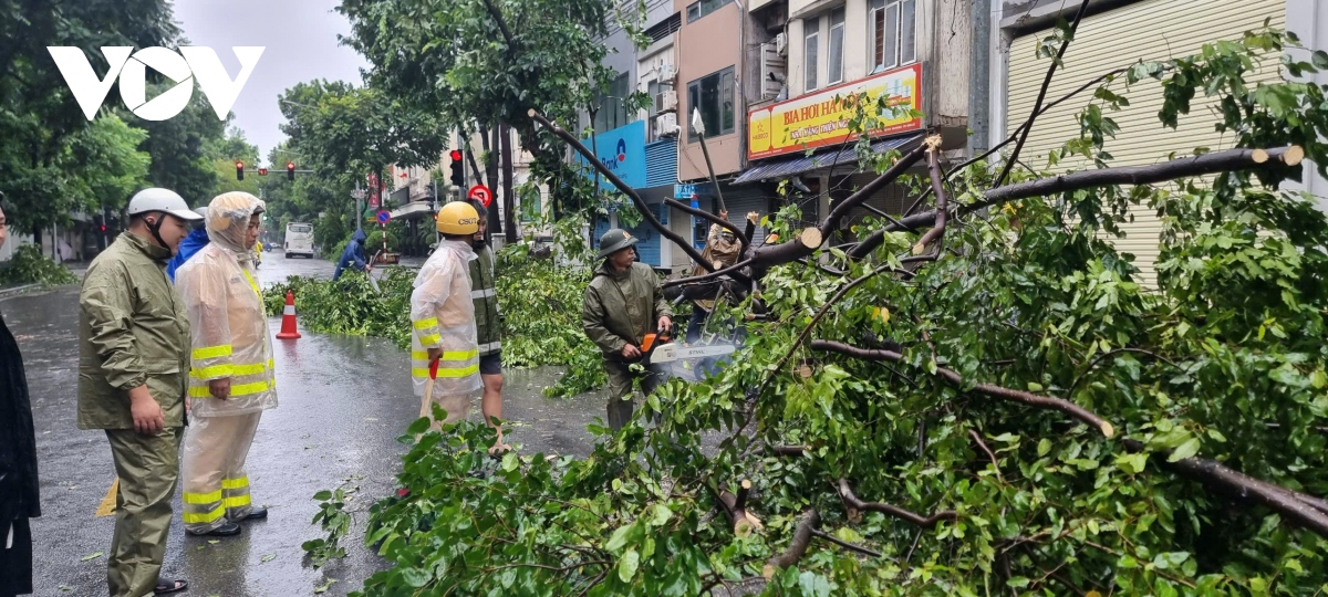 canh sat giao thong ha noi chu dong phan luong, don cay do giup nguoi dan di lai hinh anh 7