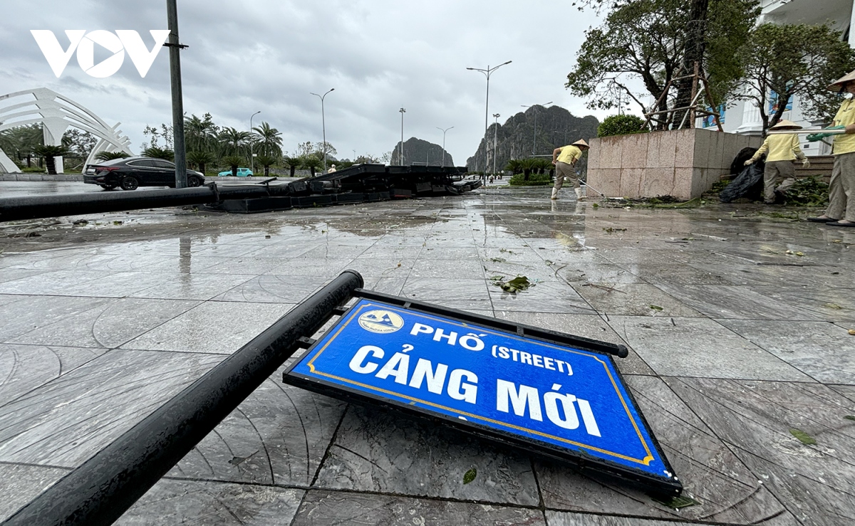 cung ca heo o ha long toc mai, duong pho tan hoang sau bao so 3 hinh anh 7