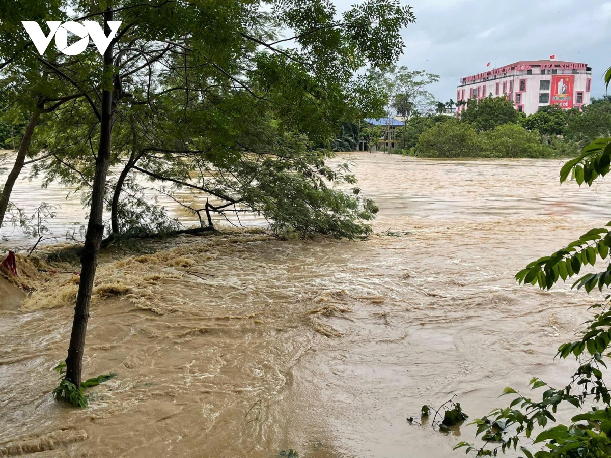 lu dang cao, nhieu noi o cao bang chim trong bien nuoc hinh anh 10