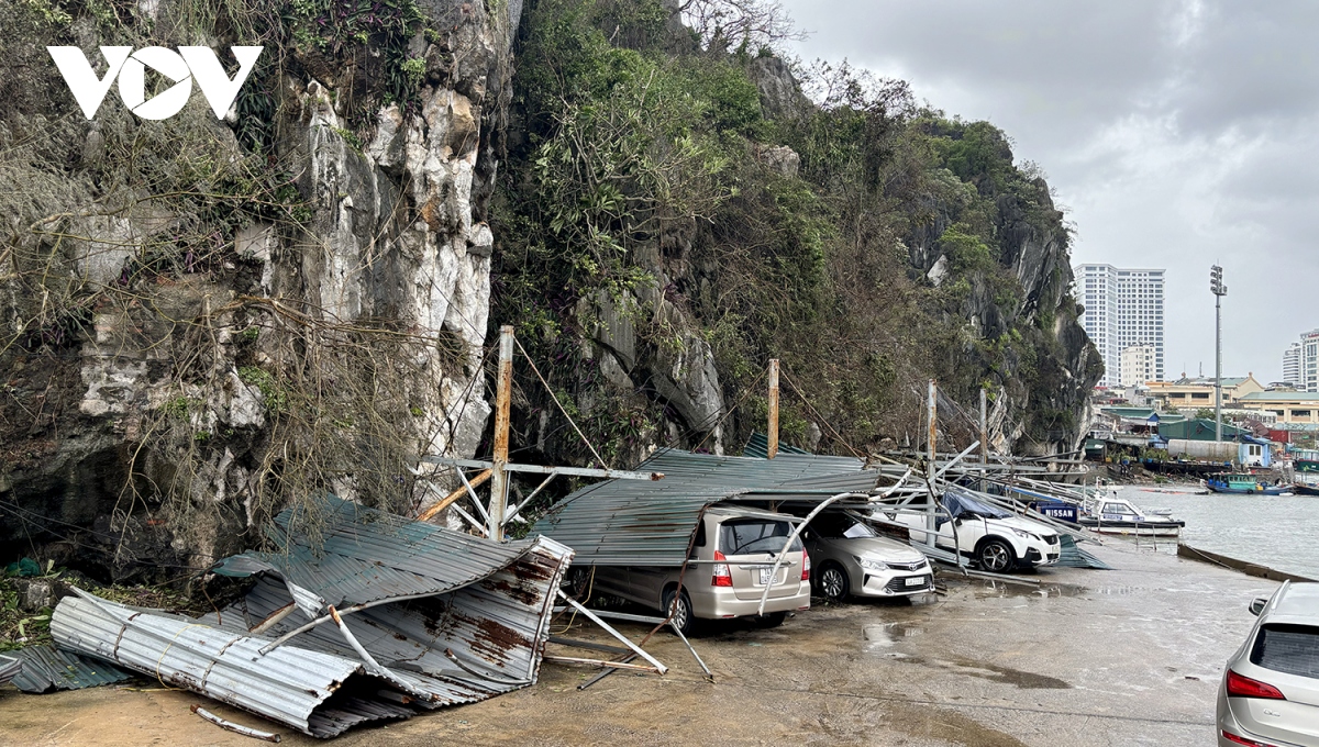 cung ca heo o ha long toc mai, duong pho tan hoang sau bao so 3 hinh anh 9