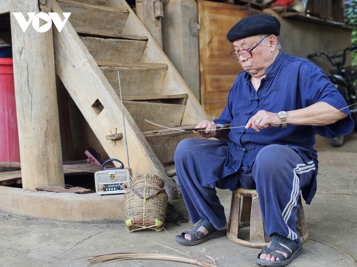 tieng noi viet nam - nguoi ban tam tinh khong the thieu hinh anh 2
