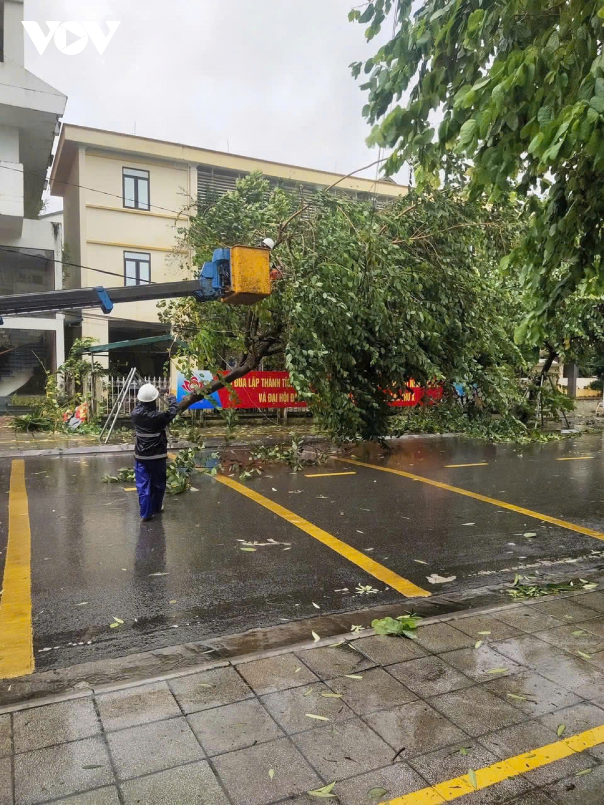 truc tiep bao so 3 dang tren dat lien quang ninh, hai phong, giat cap 16 hinh anh 173