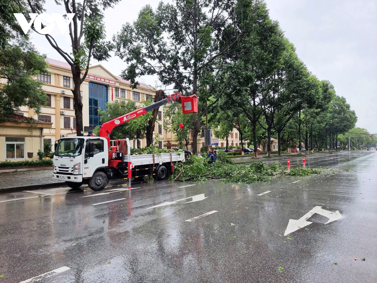 truc tiep bao so 3 dang tren dat lien quang ninh, hai phong, giat cap 16 hinh anh 167