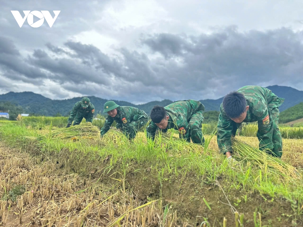 truc tiep bao so 3 dang tren dat lien quang ninh, hai phong, giat cap 16 hinh anh 61