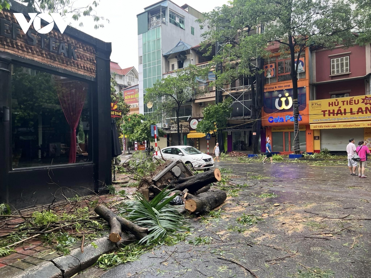 cay do la liet khap pho, ha noi va cac dia phuong khan truong thu don hinh anh 19