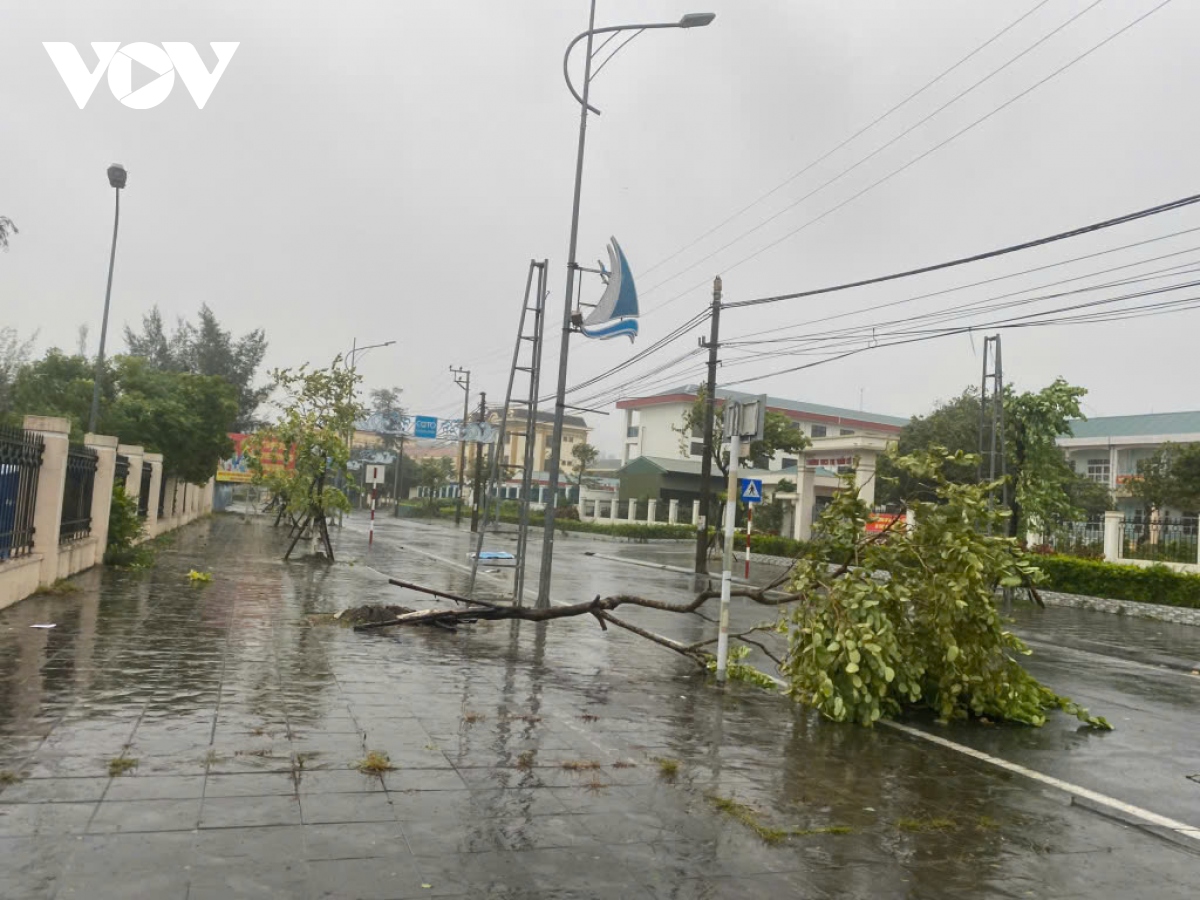 truc tiep bao so 3 dang tren dat lien quang ninh, hai phong, giat cap 16 hinh anh 210