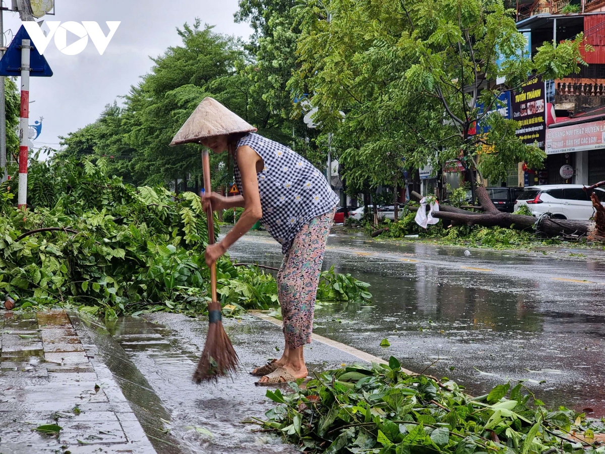 cay xanh o bac ninh do la liet sau bao so 3 hinh anh 12