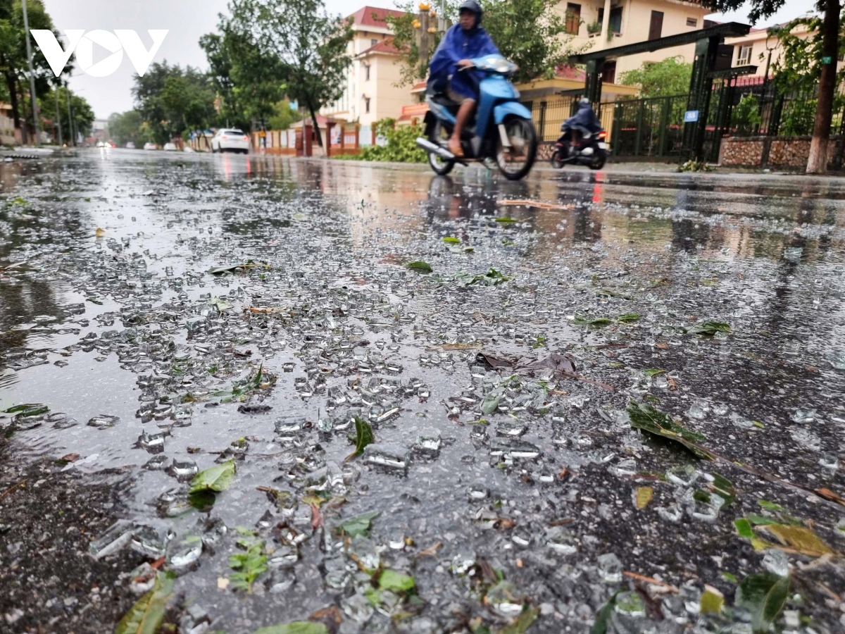 cay xanh o bac ninh do la liet sau bao so 3 hinh anh 10