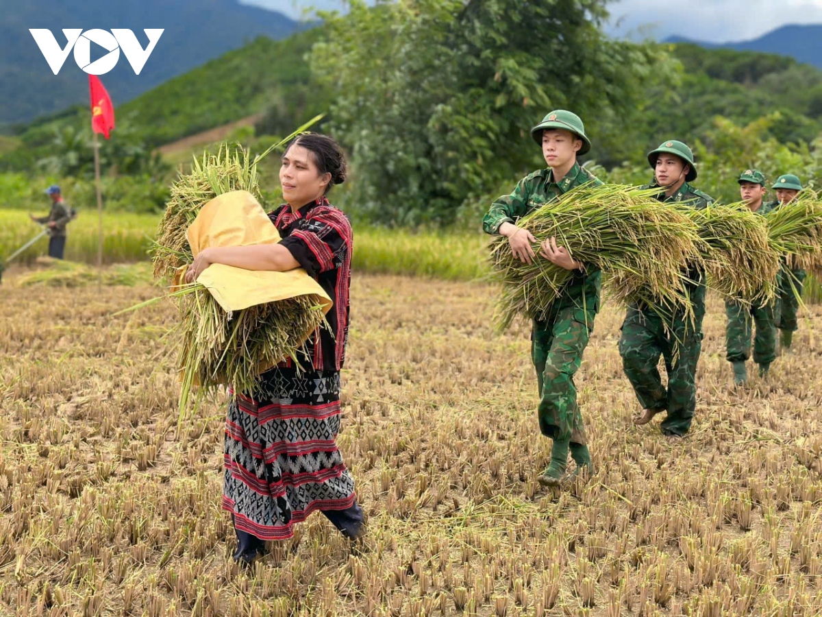 truc tiep bao so 3 dang tren dat lien quang ninh, hai phong, giat cap 16 hinh anh 63