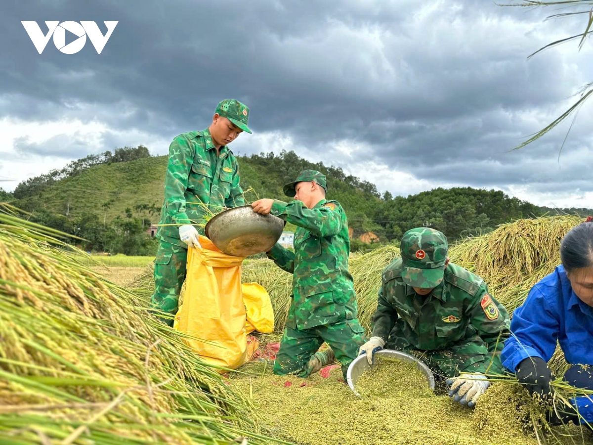 bo doi bien phong cac dia phuong giup dan chong bao so 3 hinh anh 1