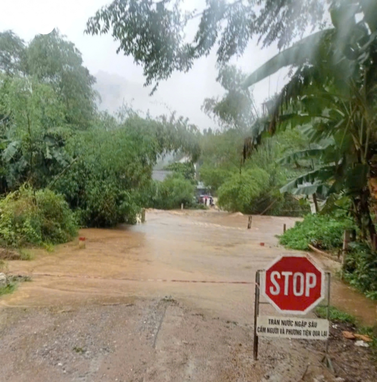 cay do la liet khap pho, ha noi va cac dia phuong khan truong thu don hinh anh 41