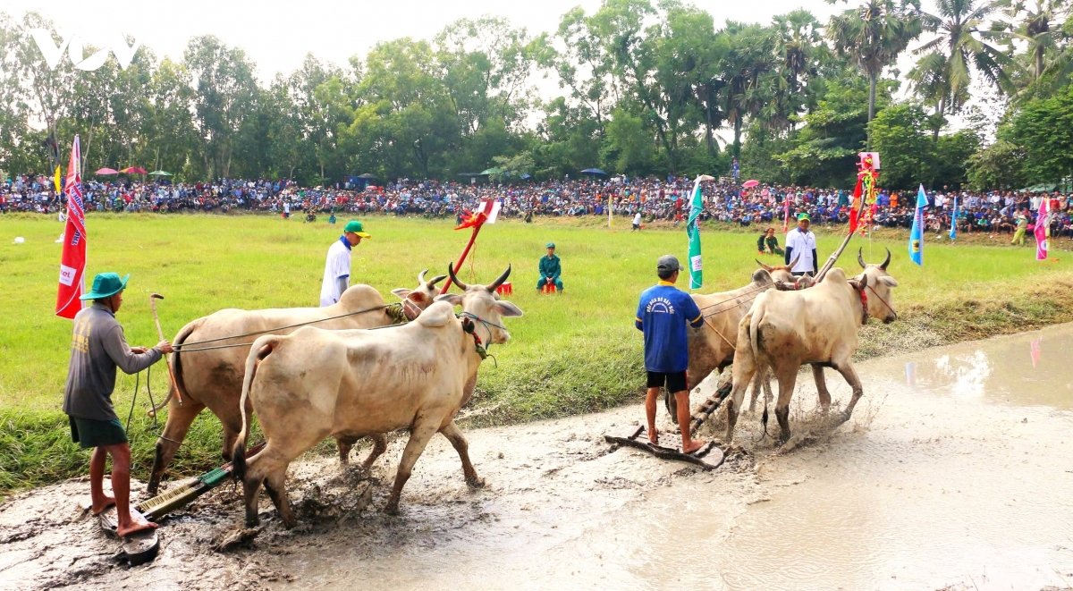 nhung hinh anh an tuong trong hoi dua bo bay nui an giang hinh anh 4