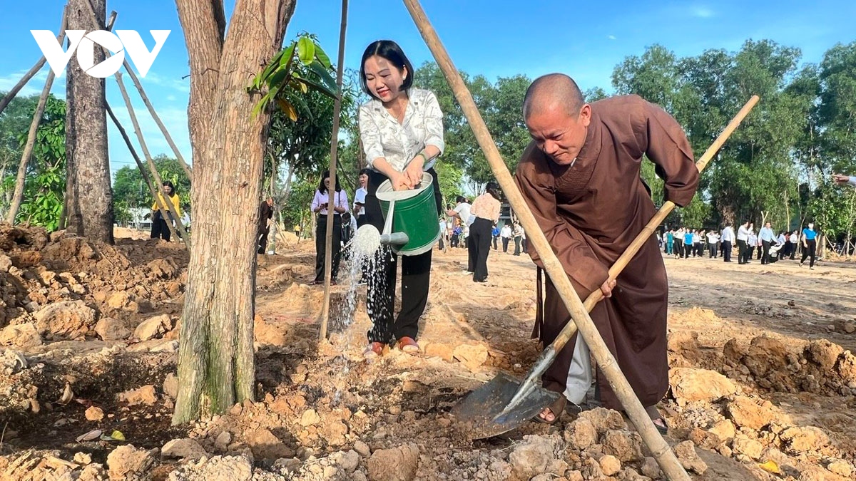 ca phe sang va phu xanh do thi o binh duong, hai qua ngot tu su dong long hinh anh 2