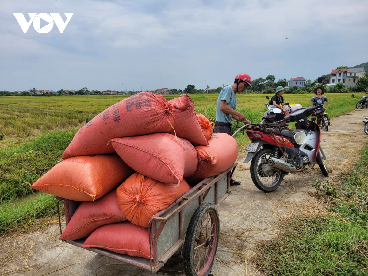 sieu bao yagi giam cap, co xu huong hoi nhich len tren hinh anh 15