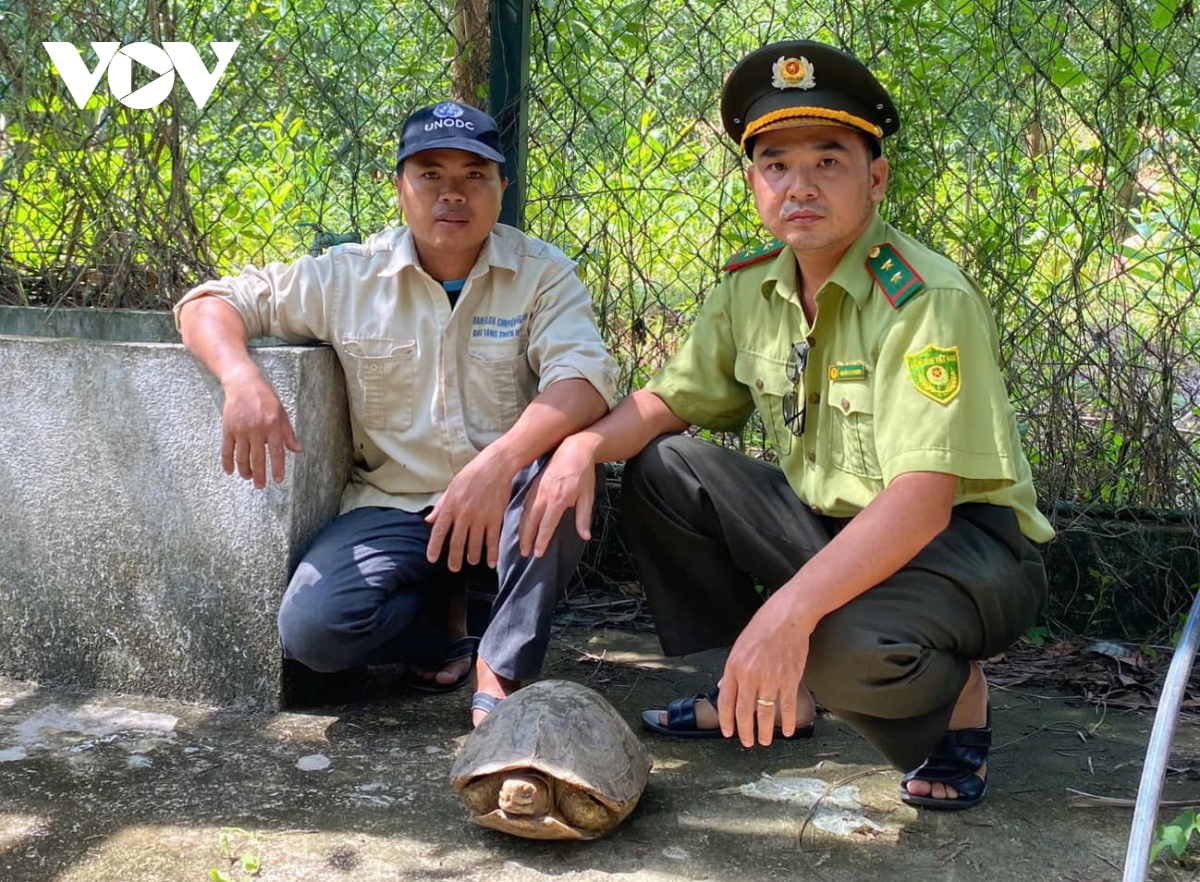 kiem lam thua thien hue tiep nhan 4 ca the rua ve moi truong tu nhien hinh anh 1