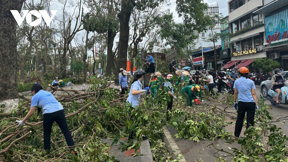 60 - 80 nguoi dan hai phong da duoc cap dien, nuoc, mang vien thong hinh anh 3