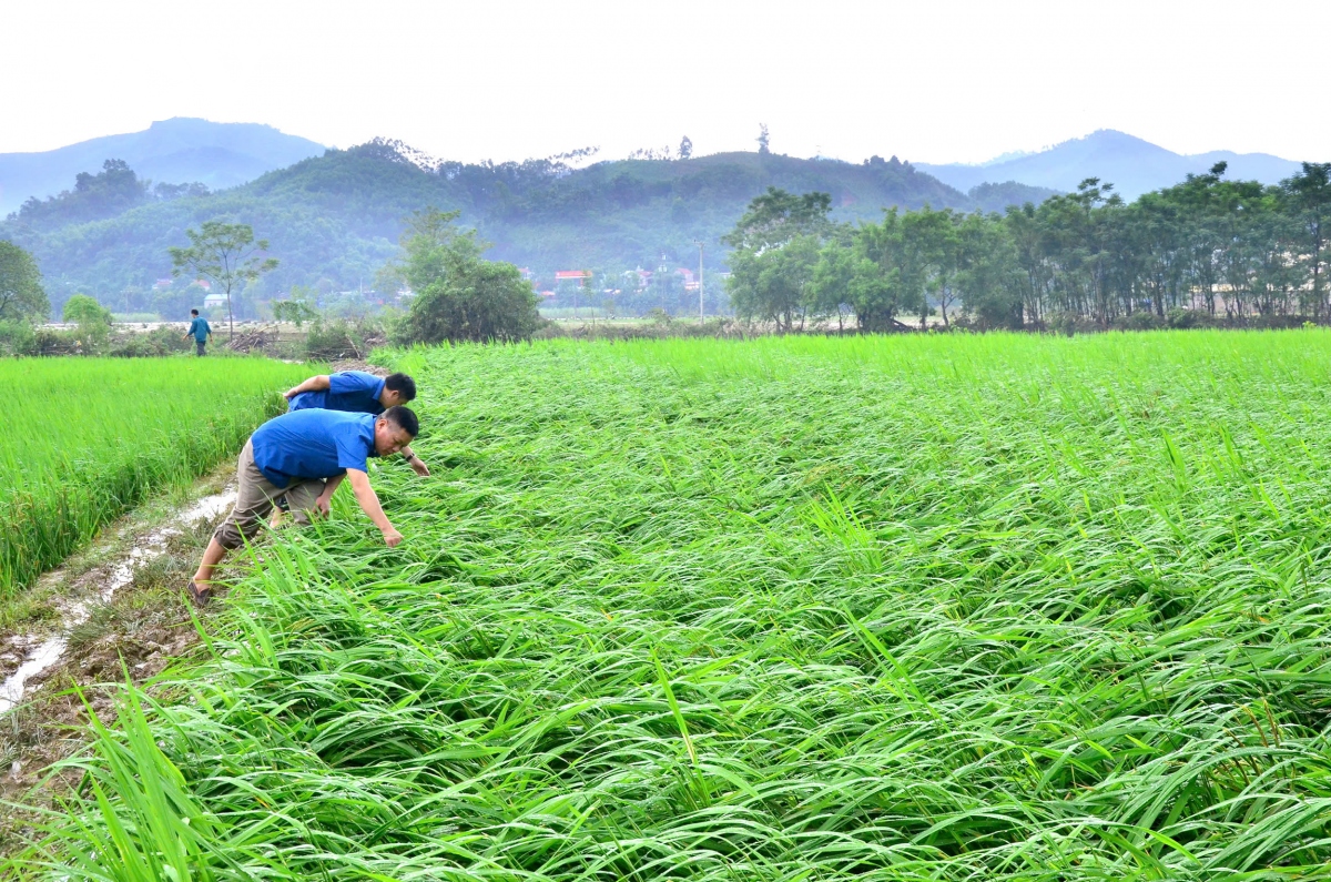 bac kan cong bo tinh huong khan cap ve thien tai tren toan tinh hinh anh 5