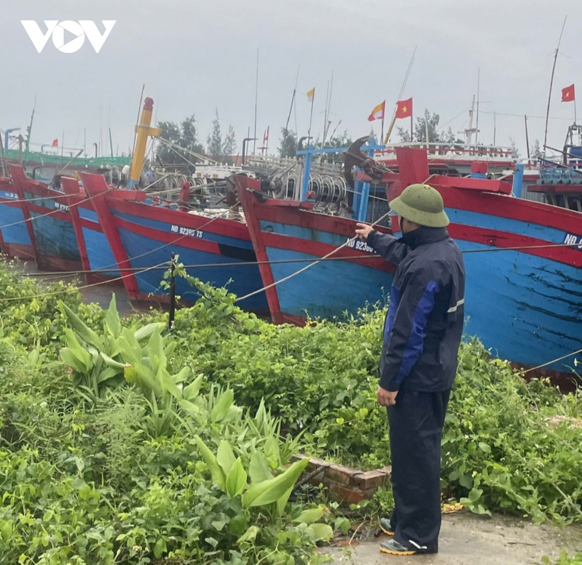 truc tiep bao so 3 dang tren dat lien quang ninh, hai phong, giat cap 16 hinh anh 231