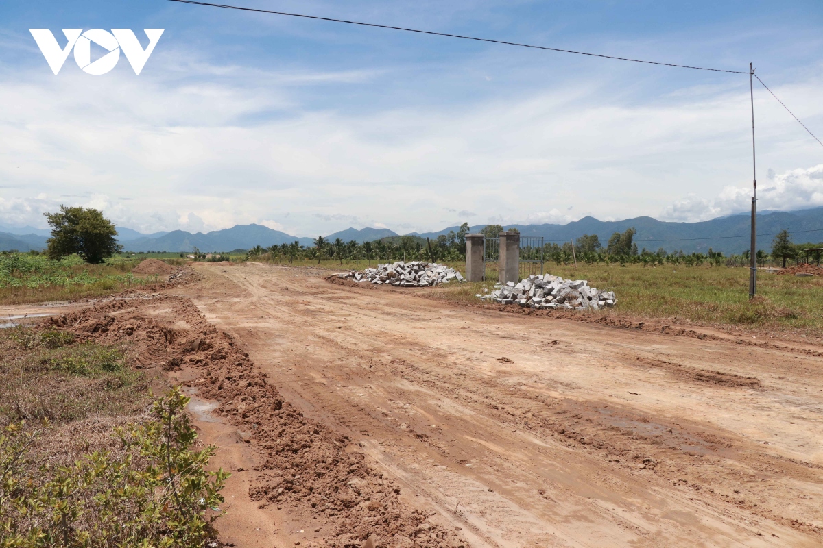 co hay khong dau hieu truc loi o du an cao toc khanh hoa - buon ma thuot hinh anh 1