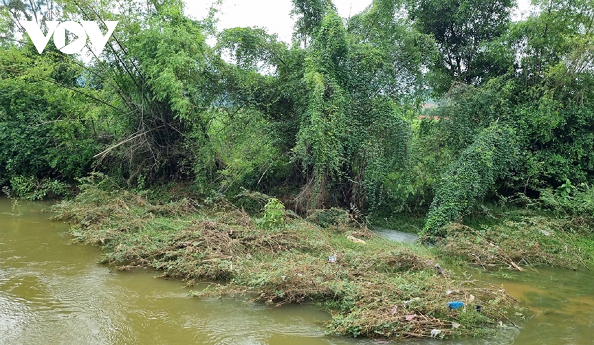 quang ngai nom nop noi lo sat lo mua mua lu hinh anh 2